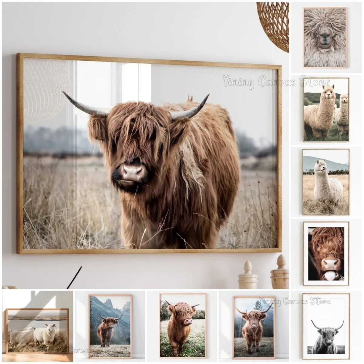 Affiche sur toile de paysage naturel nordique avec vache des Highlands écossaise, animal sauvage, pour décoration murale de chambre, maison, ferme