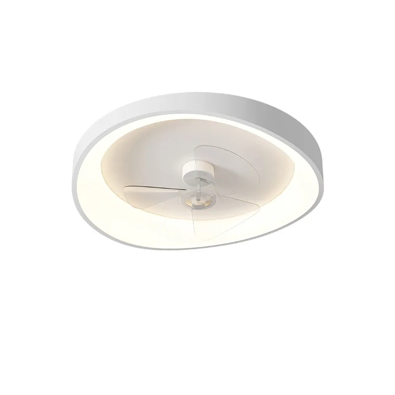 

Restaurant chandelier, modern simplicity, new fan light