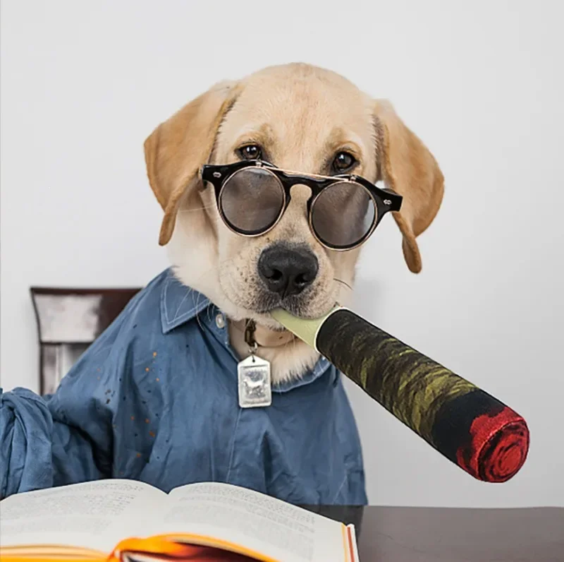 Jouet pour chien en peluche amusant et interactif, design cigare, jouet à mâcher couinant pour le grincement des dents