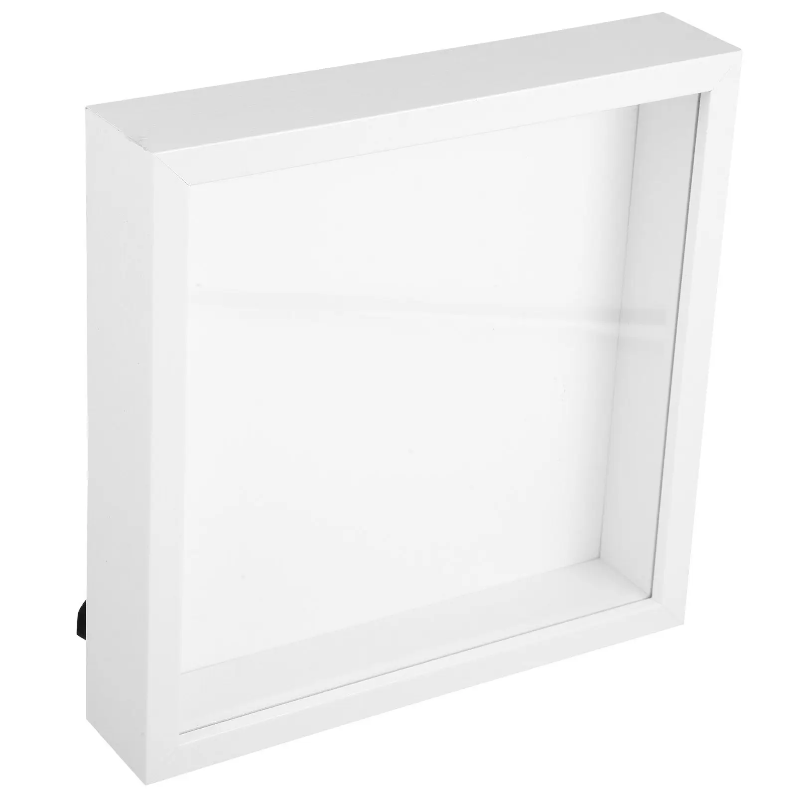 Dried Flower Specimen Display Frame Hollow Acrylic Density Board Desktop Wall Box Frame for Nature Enthusiasts Home