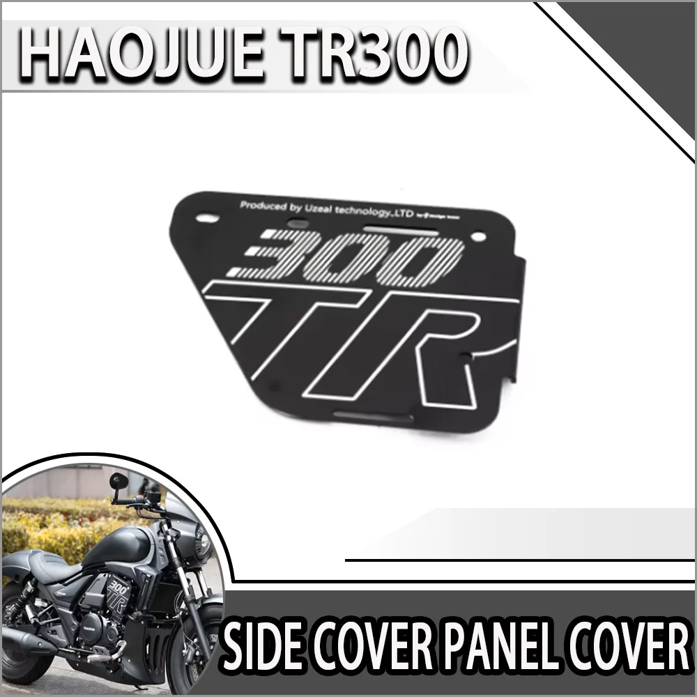 

Motorcycle Modification Parts Aluminum Alloy Side cover Panel Cover Customized for Haojue TR300 TR300 Cruiser