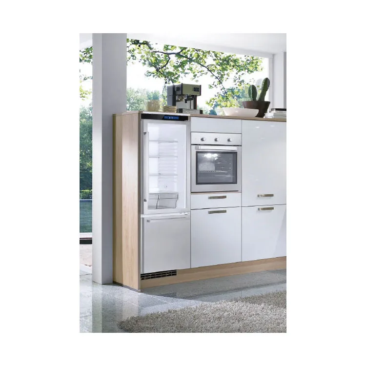 Hot-sale Home Appliance Fridge Freezer for Home Use Refrigerators Built in Fridge