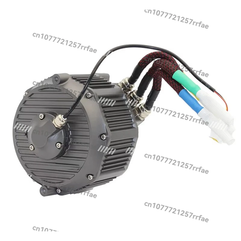 

Exclusive Adaptation To FW01 Mid-drive Electric Bicycle Motorcycle Brushless High Efficiency and Energy Saving