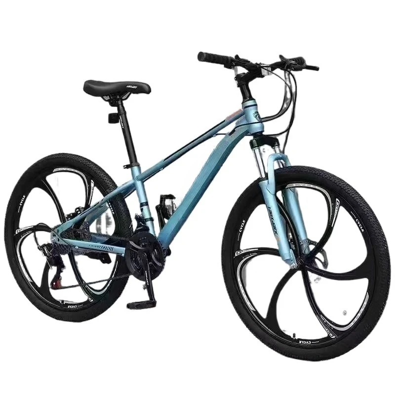 21 Speed Adult Mountain Bike Variable‑Speed Off‑Road Bicycle Affordable Bicycle for Male Student Outdoor Commute