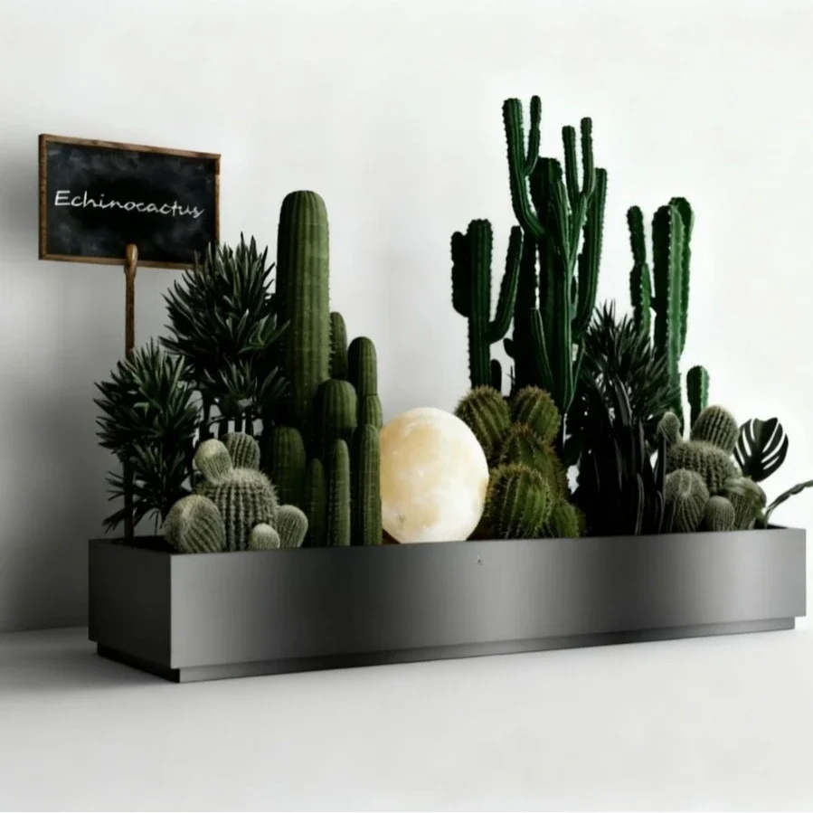 High-end cactus decorative flower box, bought for café and tavern landscaped flower beds