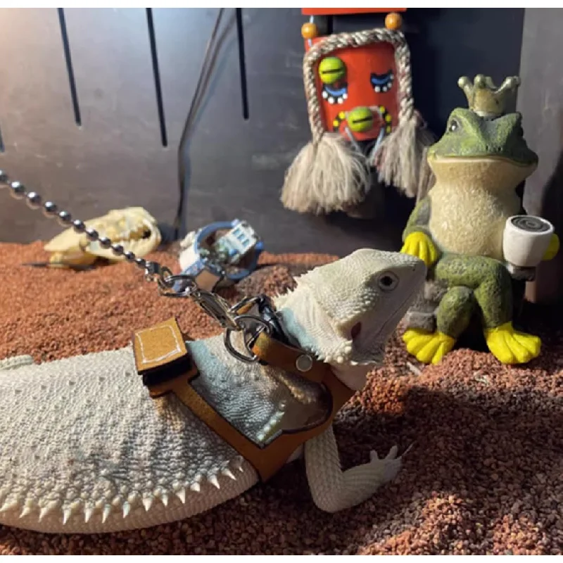 

A traction rope suitable for lizard bearded dragons to go out, with adjustable chest strap length and soft leather