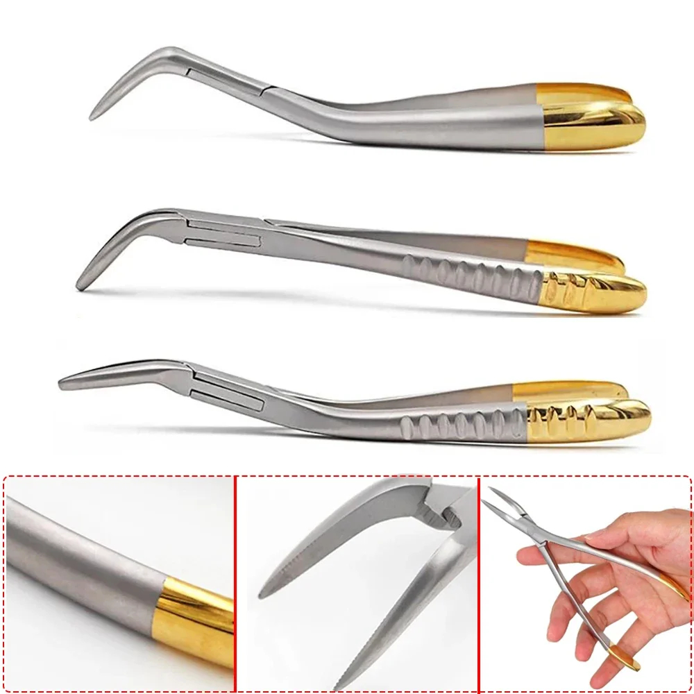 2pcs Dental Root Fragment Minimally Invasive Tooth Extraction Forcep Tooth Pliers Dental Instrument Curved Maxillary Mandibular