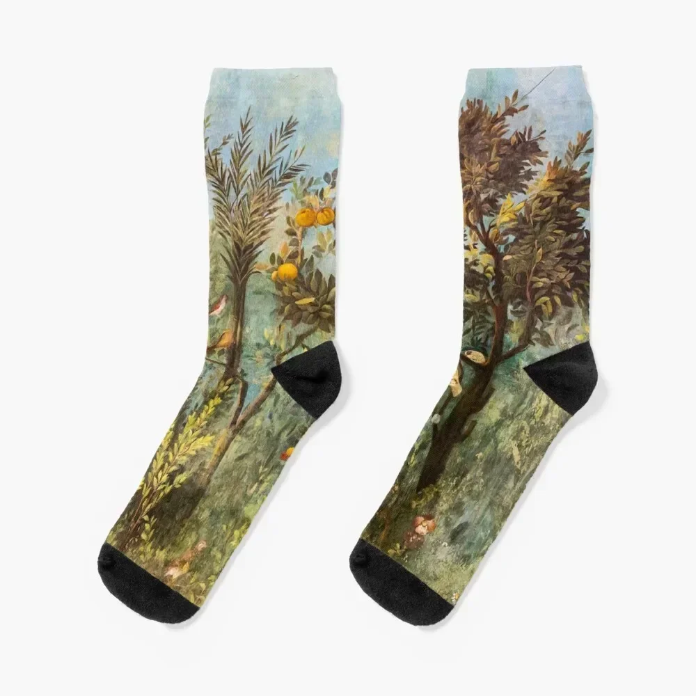 ANTIQUE ROMAN WALL PAINTING Flower Garden Flying Birds ,Quince and Apple Trees Socks gift moving stockings Girl'S Socks Men's