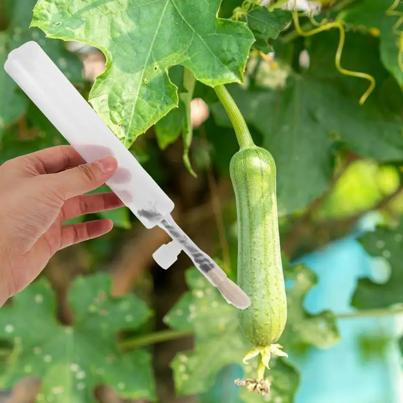 พืชประดิษฐ์ Pollinating แปรงสําหรับเรือนกระจกมะเขือเทศแตงกวา Pollenator อุปกรณ์ต้นกล้าชอล์ก Pollinating ปากกา