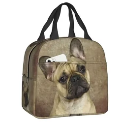 French Bulldog Lunch Bag Women Warm Cooler Insulated Lunch Boxes for Kids School