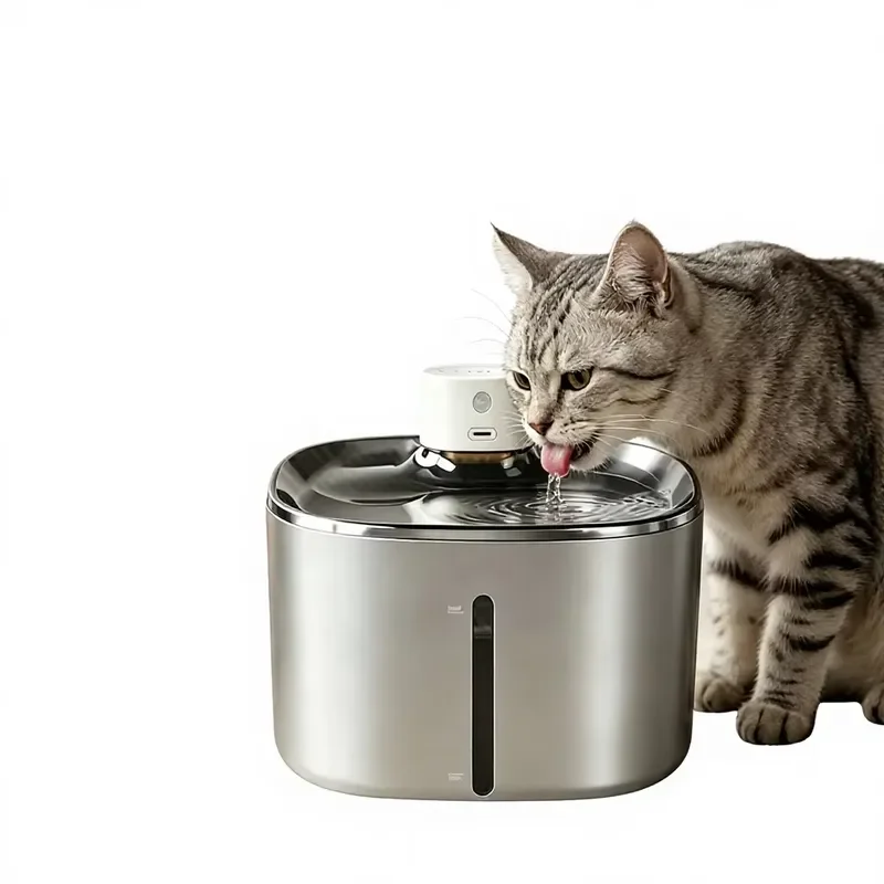 Pet water bottle drinking bottle stainless steel waterproof portable travel automatic smart three-in-one cat and dog timing