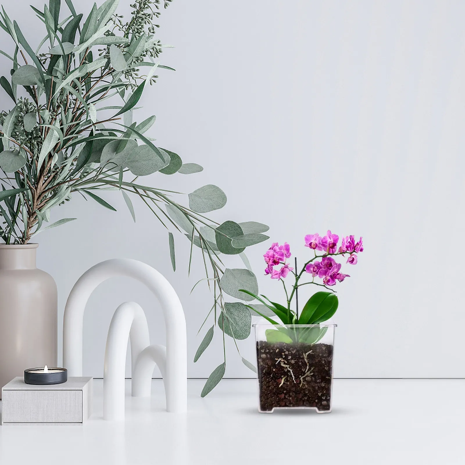 

5Pcs Acrylic Orchid Pots Clear Transparent with Bottom Vents for Healthy Root Growth Orchid Planting Pots Breathable Flower