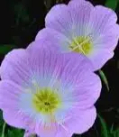 

10S3P 36 В 9800 мАч 36 В литиевый аккумулятор 18650 литиевая батарея подходит для аккумулятора электрического скутера Xiaomi M365