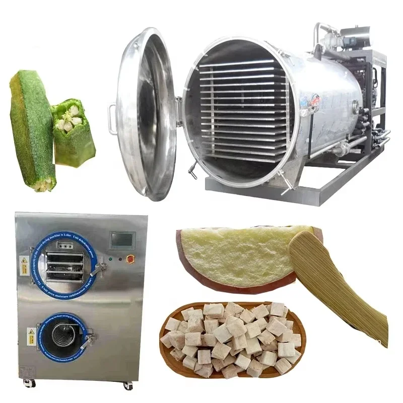 ce certification vacuum freeze dryer freezing dryer machine with good quality small vacuum freeze dryer for fruit and vegetable