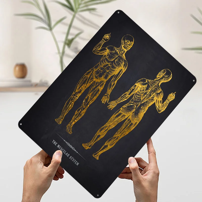 الذهب نظام العضلات تشريح القصدير تسجيل الجدار ملصق فني عناصر ديكور المنزل الفاخرة خمر علامات معدنية الرجعية لغرفة الديكور المنزل