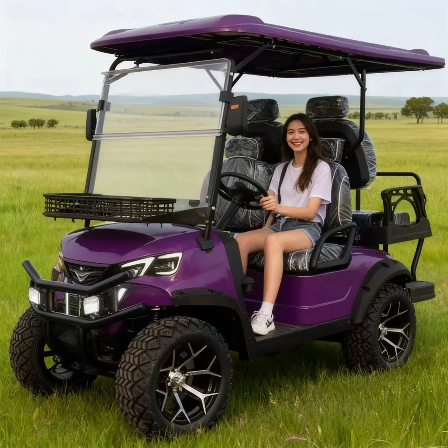 المبيعات المباشرة من المصنع الصيني: بطارية ليثيوم عالية السرعة 48 فولت، 60 فولت، 72 فولت، 4 مقاعد، عربة جولف 4WD #2