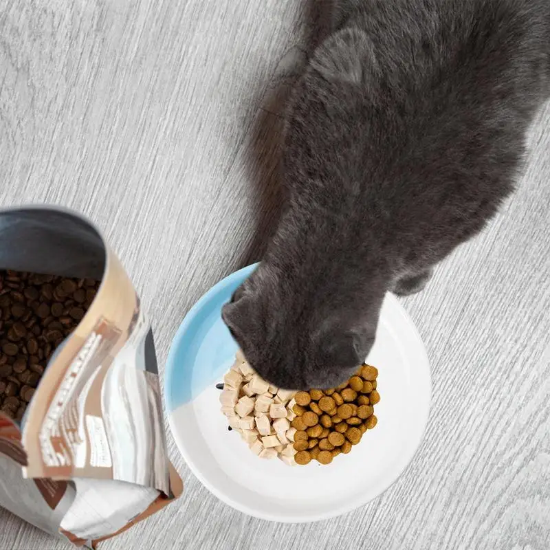 

Elevated Ceramic Cat Bowls Elevated Food Water Dish With Iron Stand Ergonomic Food Bowl Anti Vomiting Wide Mouth Raised Feeding