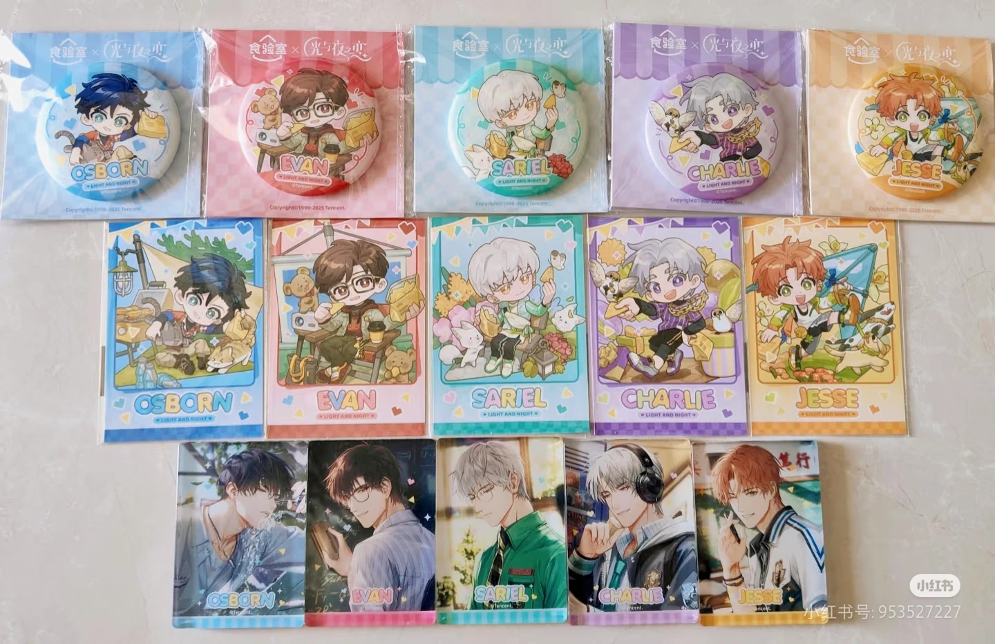 

Official Collaboration Light and Night Healthy Snack Shop Osborn Evan Sariel Charlie Jesse Tinplate Badge Acrylic Brick Polaroid