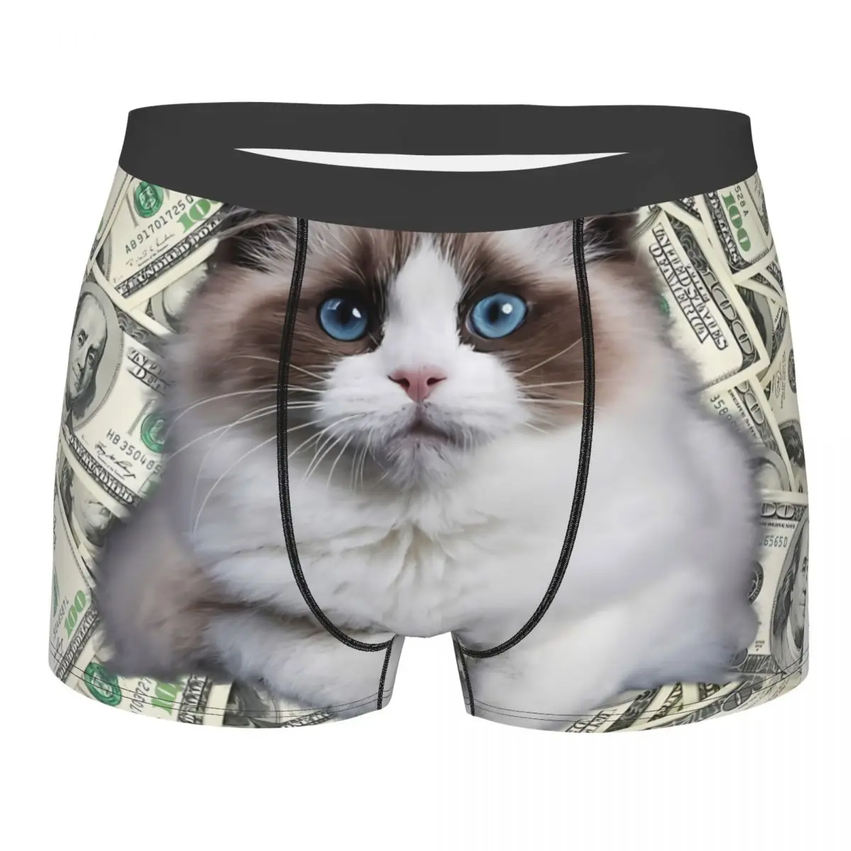 Very Rich Cute Himalayan Cat Man's Boxer Briefs Money Breathable Funny Underwear Top Quality Print Shorts Gift Idea