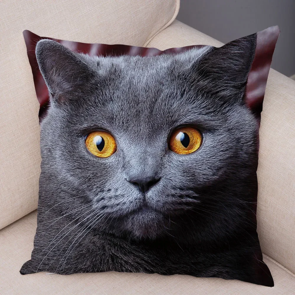 Russian Blue British Shorthair Cushion Cover Decor Cute Cat Pet Animal Pillowcase Soft Plush Pillow Case For Car Sofa Home