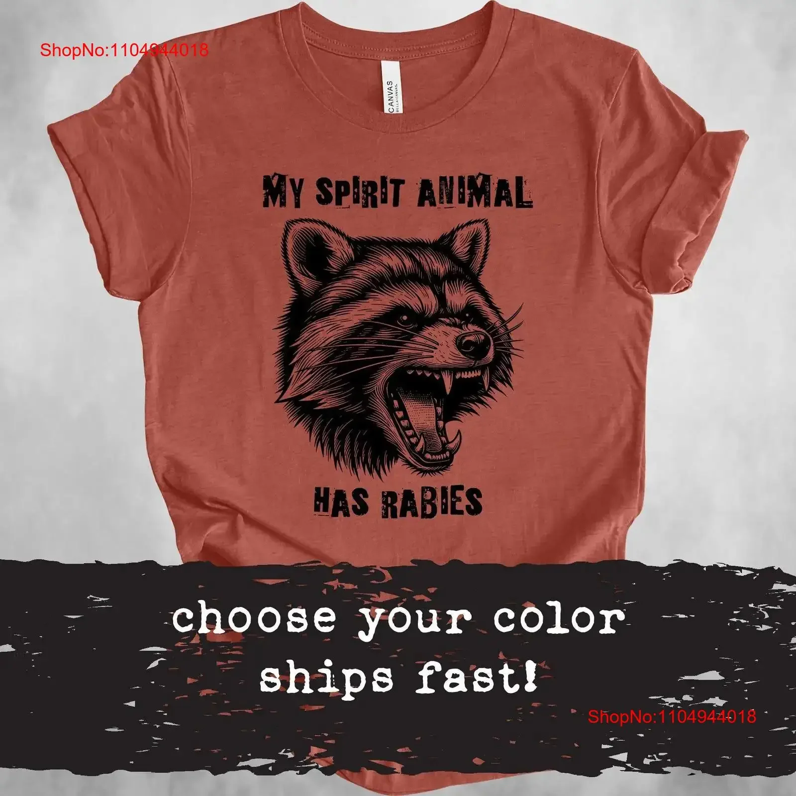 Funny Raccoon T Shirt Spirit Animal Has Rabies That Go Hard Mental Health Meme Retro Vintage Trash Panda vintage Washed