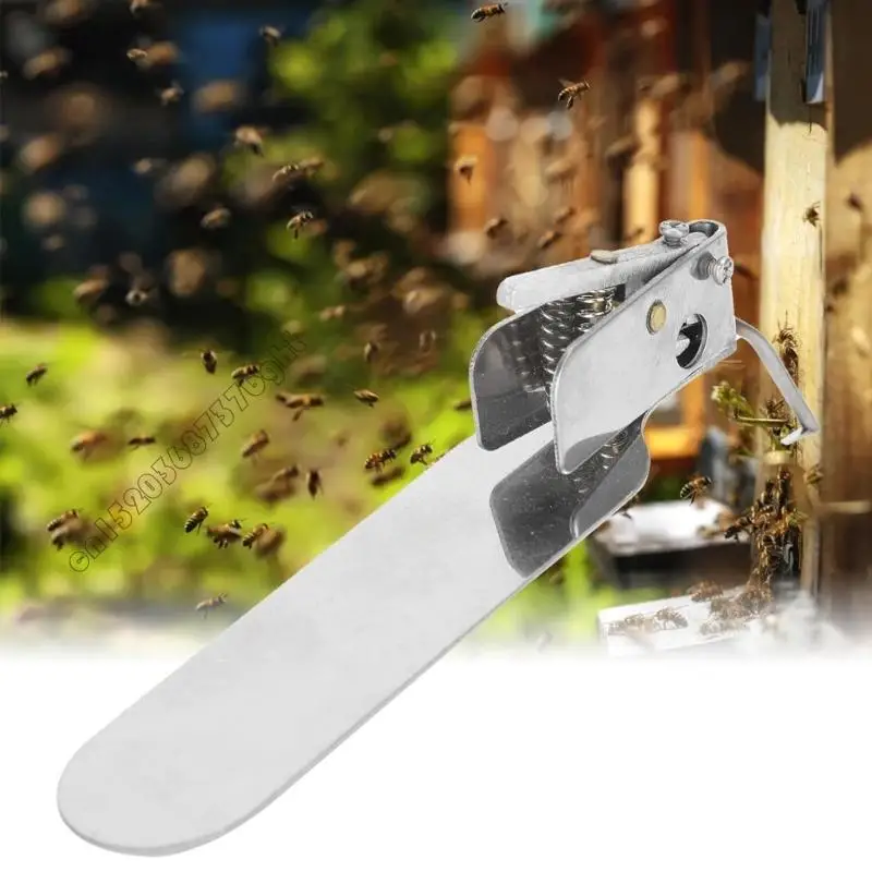 Professional Beekeeping Grafting Tool Accuracy Pupa Transfer Needle With Spring Mechanism For Queen Queen Rearing And 4XFB