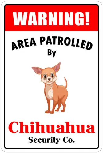 *Aluminum* Warning Area Patrolled By Chihuahua 8