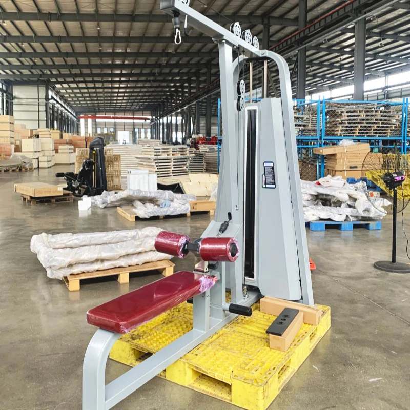Factory Low Price Commercial Gym Exercise Equipment Dual Function Exercise  Lat Pull Down & Low Row Machinepromote sales