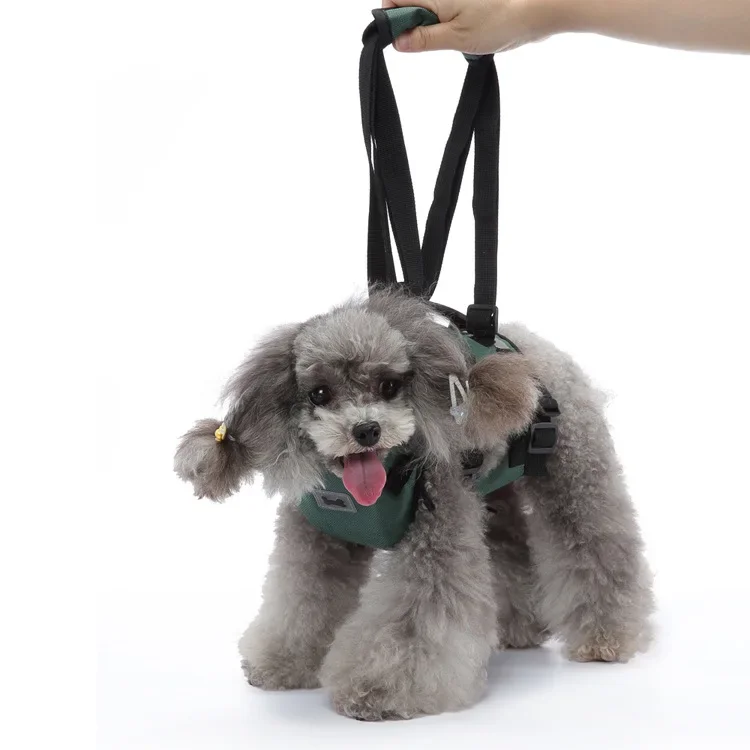 Popular pet products dog chest strap leash walking assist leash dog harness