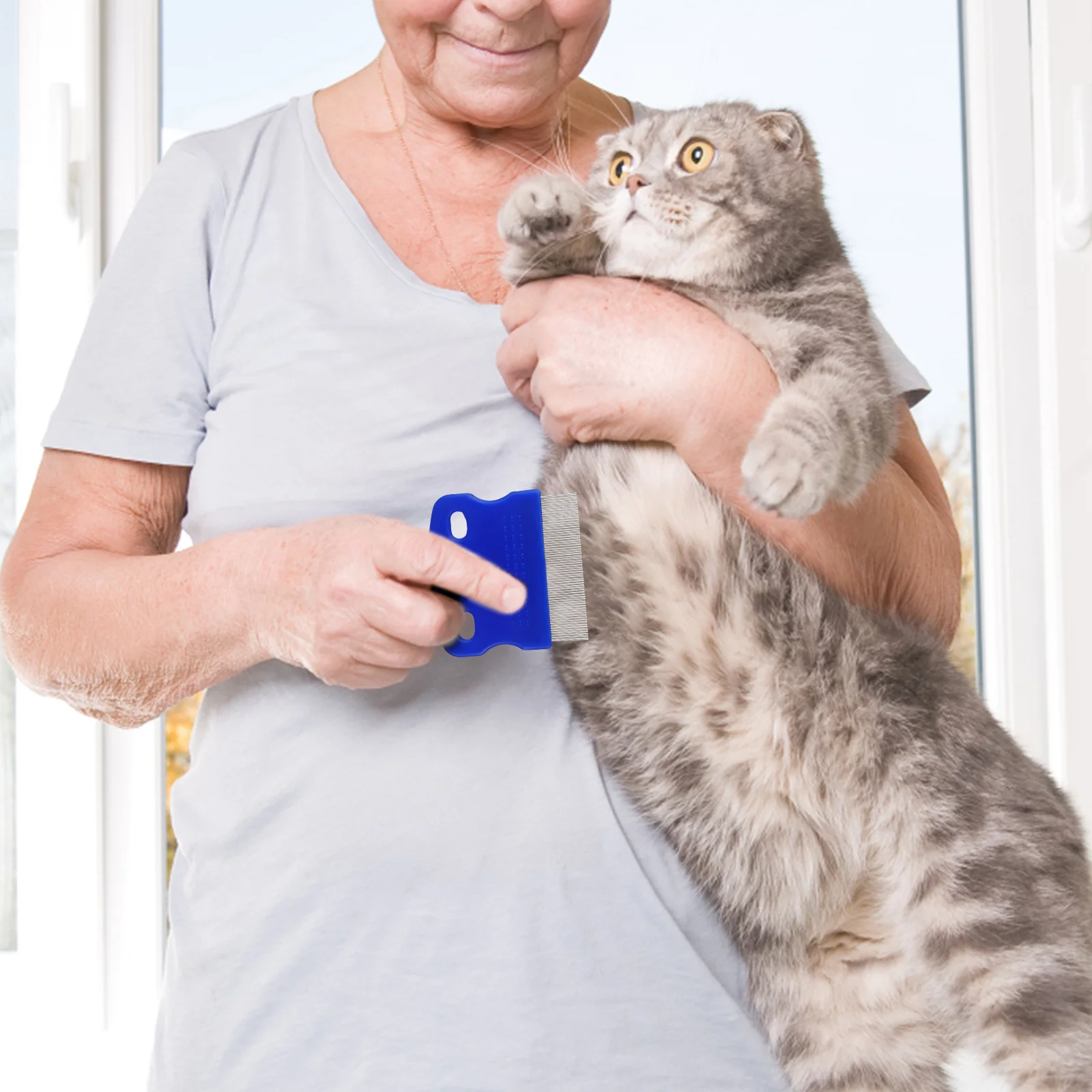 

6Pcs Dog Combs Stainless Steel Pet Grooming Tools Round Teeth for Long Short Haired Cats Small Dogs Dog Comb Pet Combs