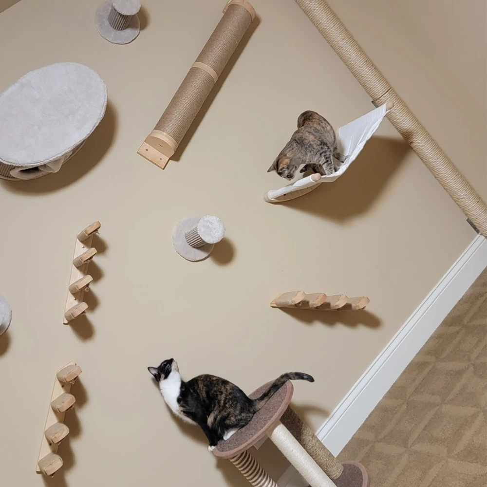 Wooden Wall Cat Climbing Cat Sisal Scratching Post Cat Can Sharpen Claws Combination Hammock Cat Can Sleep Indoor Cat Furniture