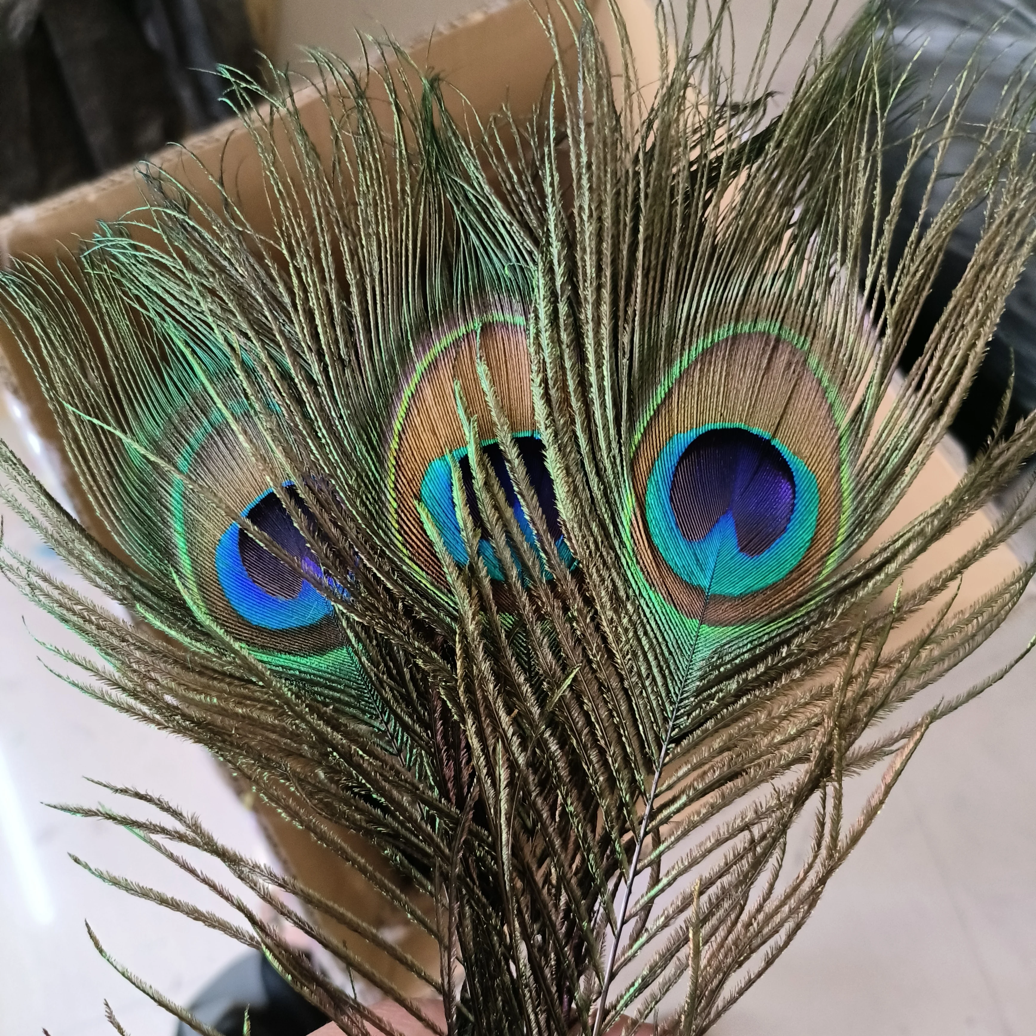 50PCS/lot 25‑50CM Natural Real Peacock Feathers DIY Ornament Wedding Holiday Decor Stage Cosplay Costume Accessories