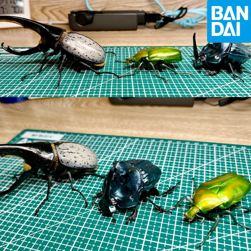 Bandai Chalcosoma Atlas Caucasus Beetle Movable Model Hyper-Realistic Insect Ornament Toy for Collectors Authentic Action Figure