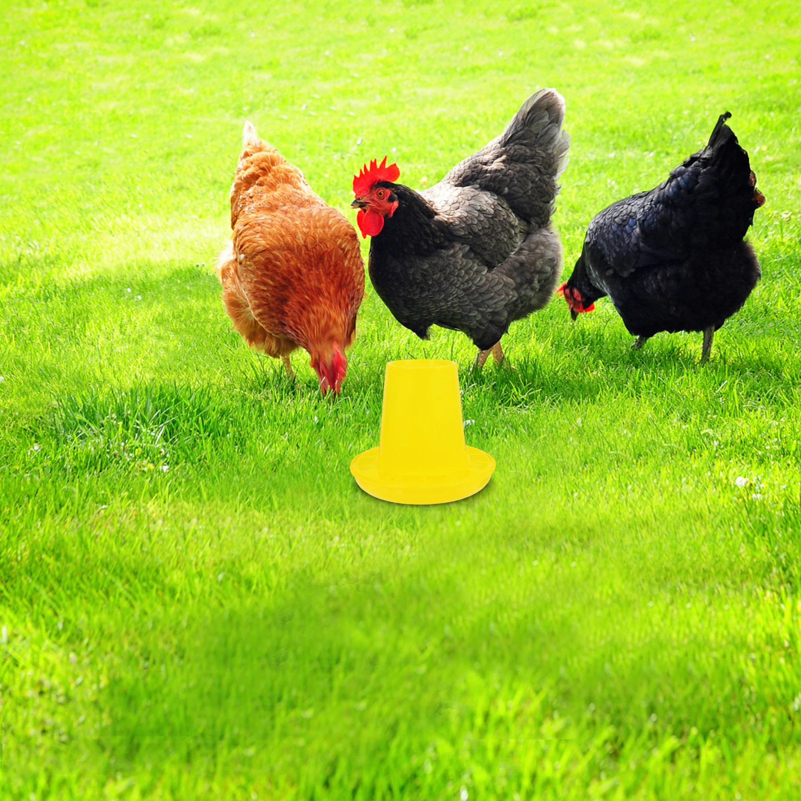 

1 Set Chicken Automatic Feeder Water Holder Food Container Auto Feeding Bowl Sturdy Durable Trough For Poultry Breeding Cage