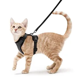 Summer Ultra-thin Cat Leash Anti Loosening and Adjustable Leash Sliding Cat Leash Vest Style Pet Chest and Shoulder Strap