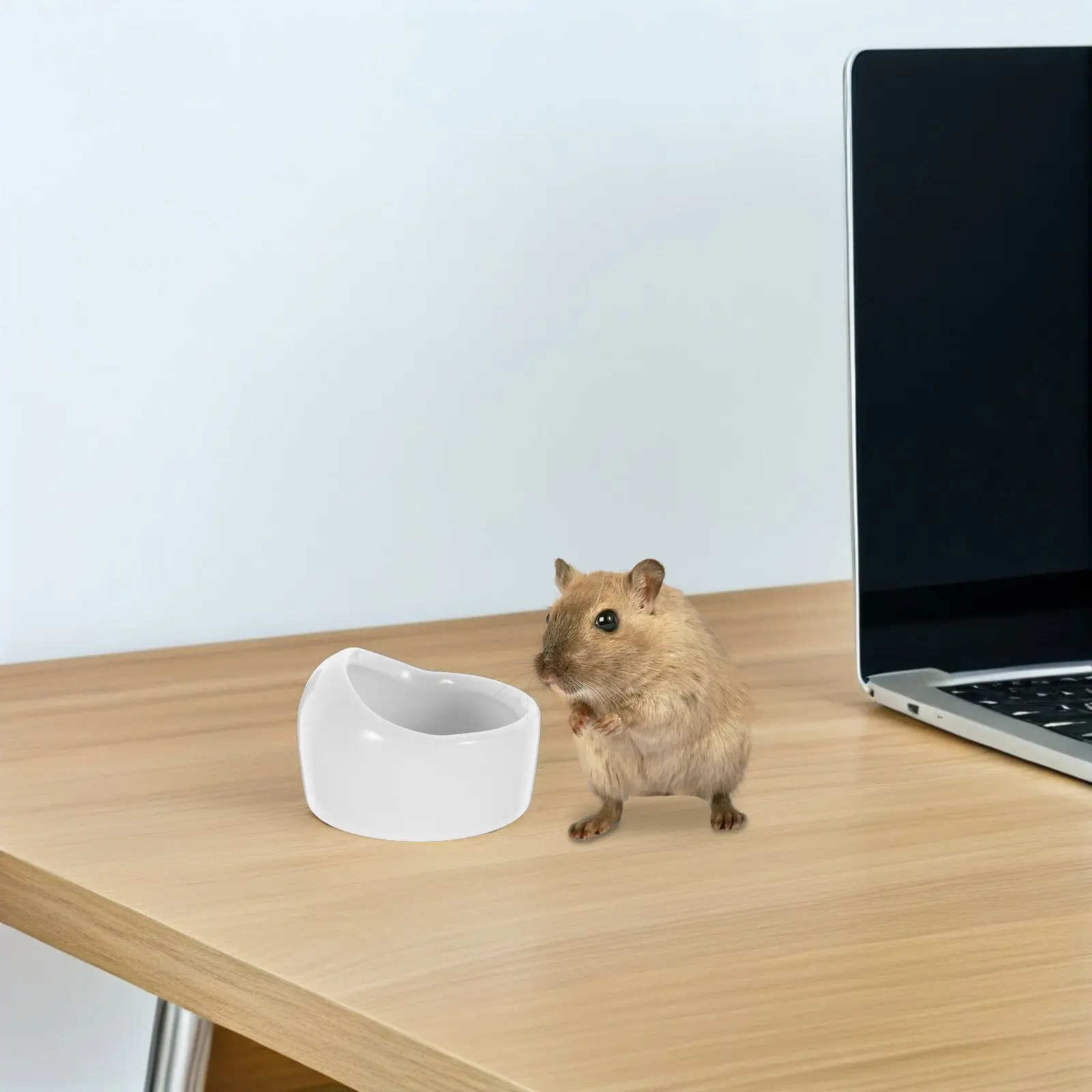 Non-Toxic Ergonomic Slanted Ceramic Bowl for Hamsters Gerbils Mice Guinea Pigs Hedgehogs Small Pets Anti-Tilt Chew Proof Food