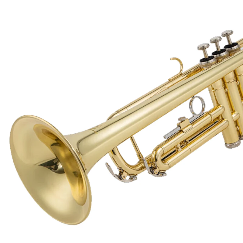 ياماها YTR-200DR B أداة البوق المسطح للطلاب والكبار والأطفال والمبتدئين امتحان اللعب والتدرج، نسخة نحاسية #6