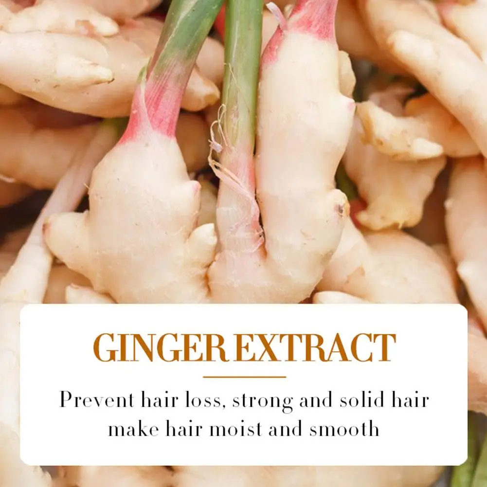 Ginger Essence Ginger Hair Essence For Hair Loss 30ml Root Booster Essence Hair Loss Hair Thickening Essence Na Y3I0