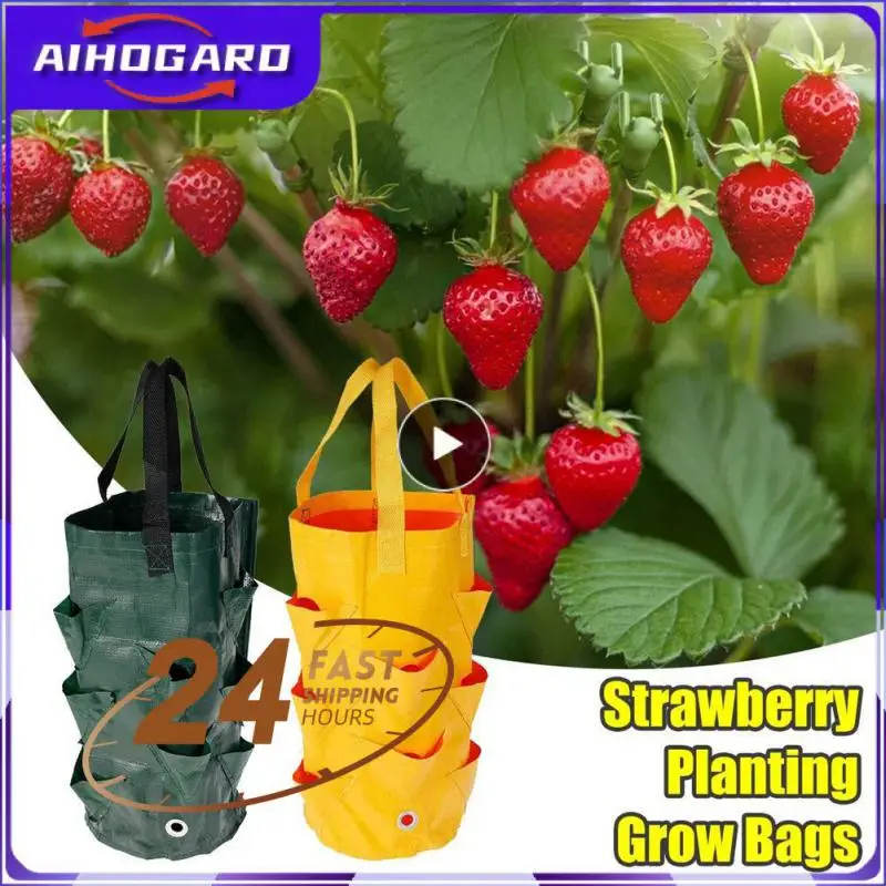 

Reusable Planter Pot PE Growing Bags For Vegetable Flower Outdoor Planting Bag Hanging Strawberry Potato Flower Planter Bag