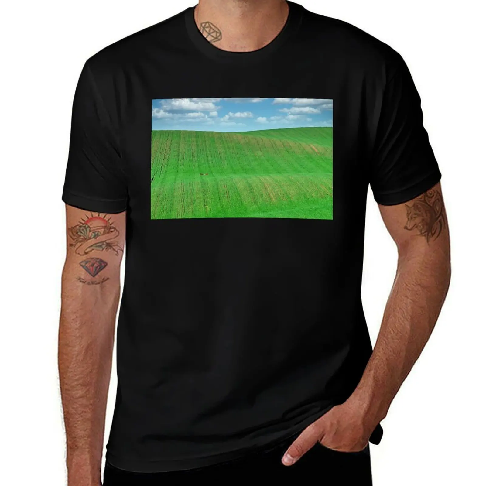 

Wild rabbits run across the green wheat field, Moravia landscape at spring, Chech Republic T-Shirt oversized tee shirts for men