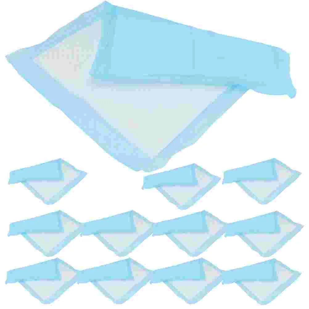 50 Pcs Dog Pads Pet Pee Mat Puppy Training Urinal Deodorant Portable Diapers for Sky-blue