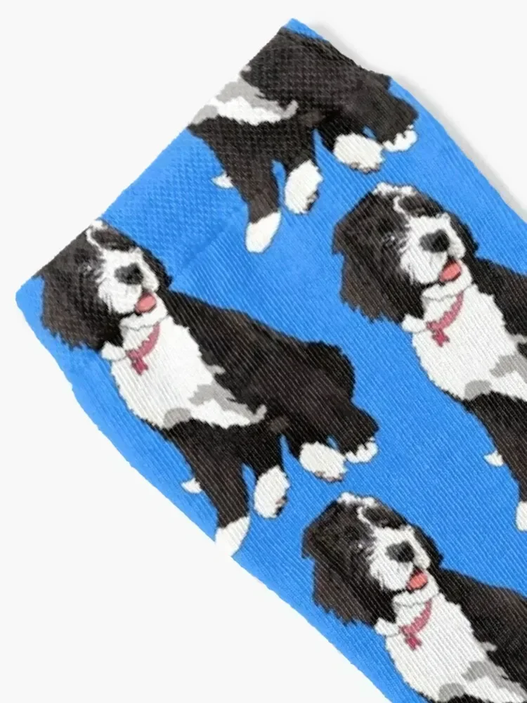 Cute Bernedoodle Socks kawaii soccer anti-slip Designer Man Socks Women's