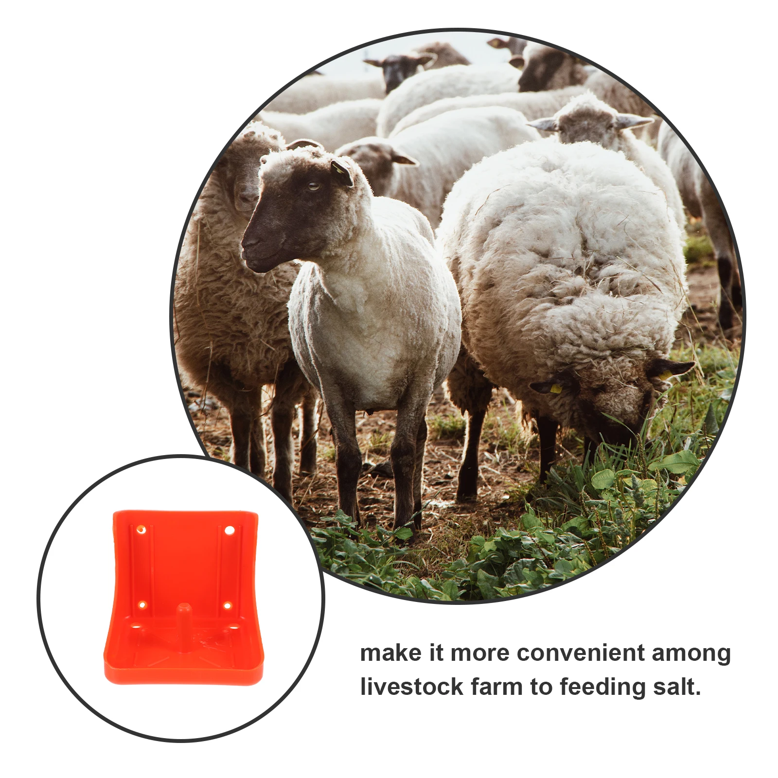 

Lick Brick Box Salt Block Holder Durable Tray Cattle Sheep Feeder Farm Accessories Multifunctional Salt Food Container