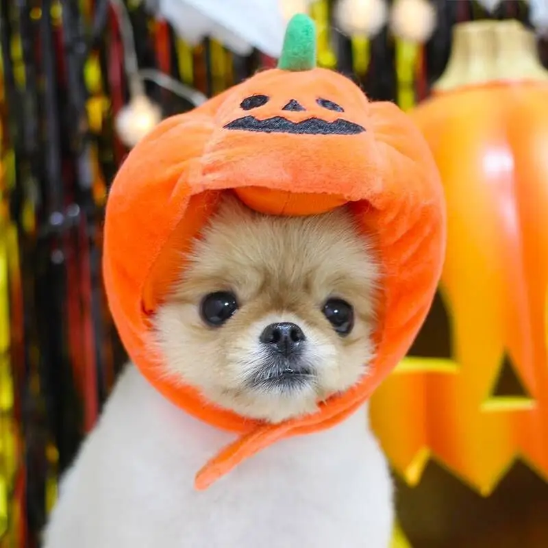 Halloween Dog Costume Pet Dog Hat Funny Pet Party Accessories Cat Puppy Cap Chihuahua Yorkshire Bichon Frise Cosplay Pumpkin Hat