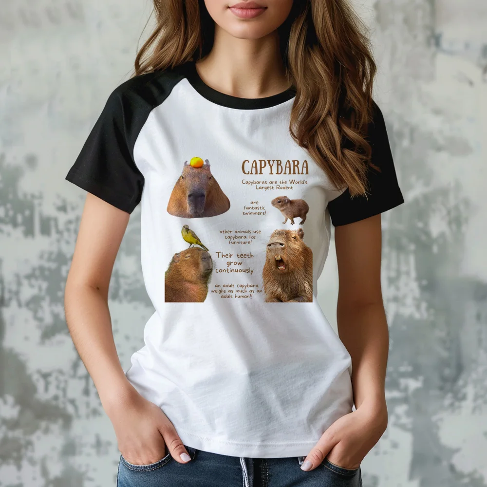 Capybara tshirt women graphic tshirt girl comic y2k harajuku clothes