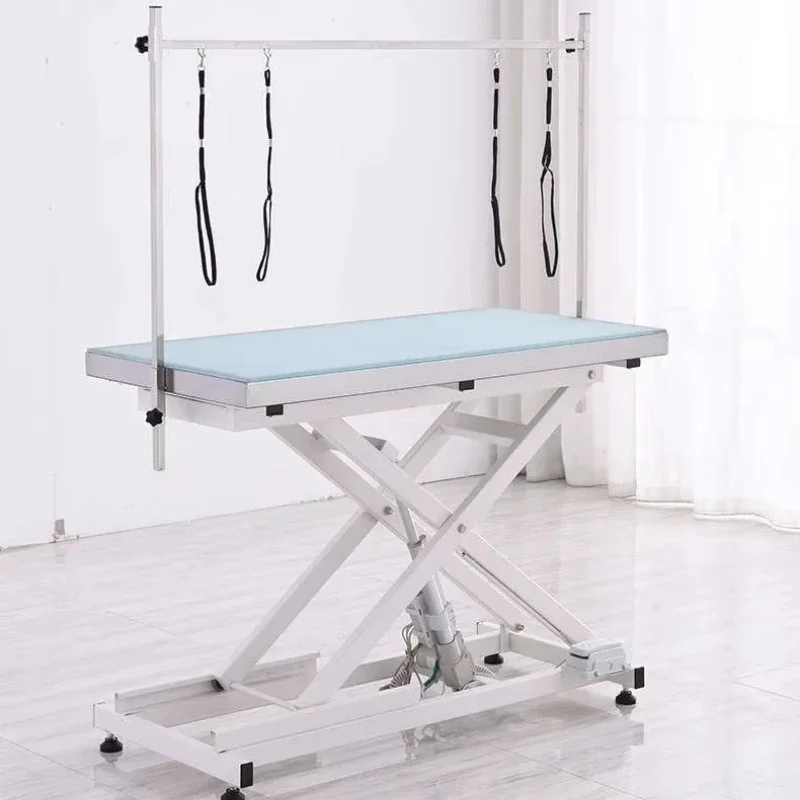 Electric Lifting Pet Grooming Table Dog Hairdressing Table with LED Light Veterinary Grooming Table Pet Shop Grooming Table