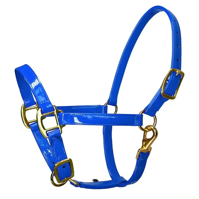 

M5TC Fashionable Golden Metal Horse Headstall Bridle With Soft Lining Waterproof Materials For Professional Equestrians Use