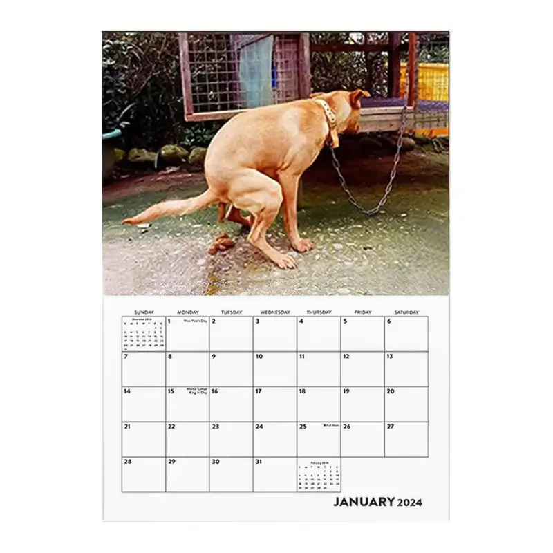 Calendário de parede engraçado para cocô de cachorro, calendário exclusivo 2024, presente para amigos, família, vizinhos, colegas de trabalho, parentes e entes queridos