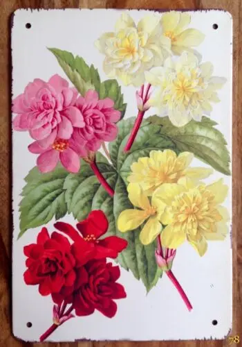 Vintage Chrysanthemum Bunch Flowers Retro Style Metal Sign Garden Kitchen Floral