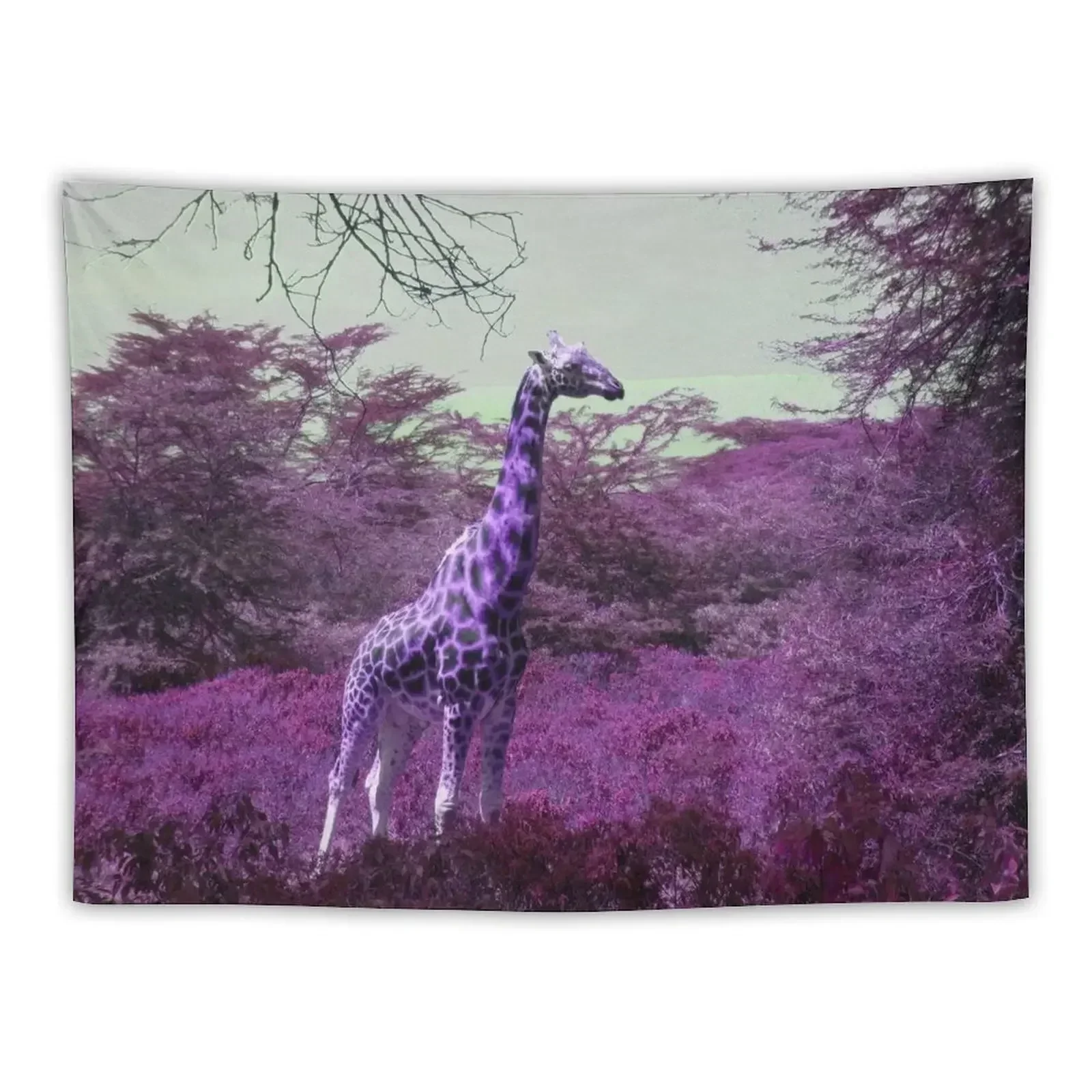 

Rothschild Giraffe in Purple Tapestry Cute Room Decor Decoration Aesthetic Tapestry